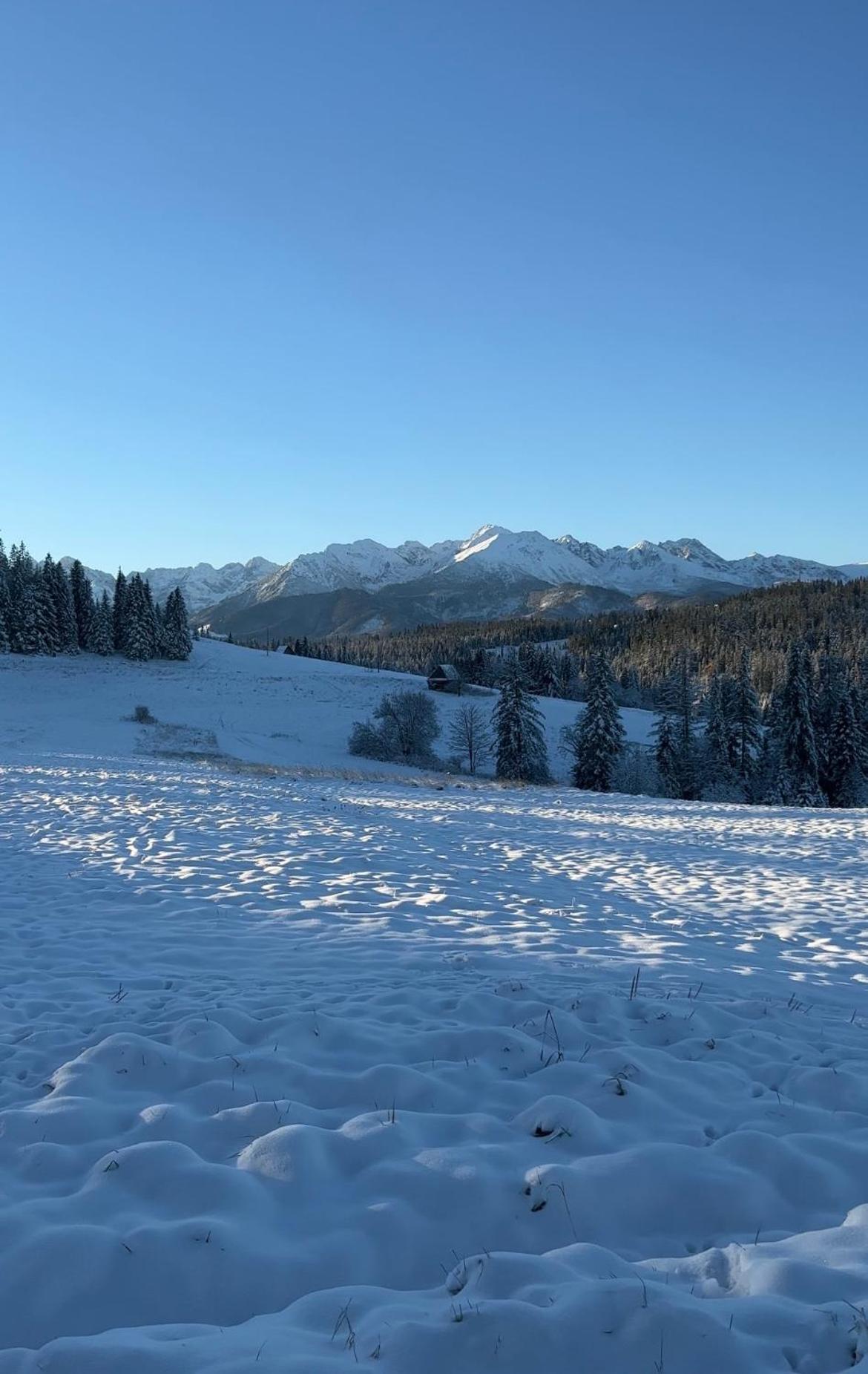 Tatra Widok Leilighet Bukowina Tatrzańska Eksteriør bilde